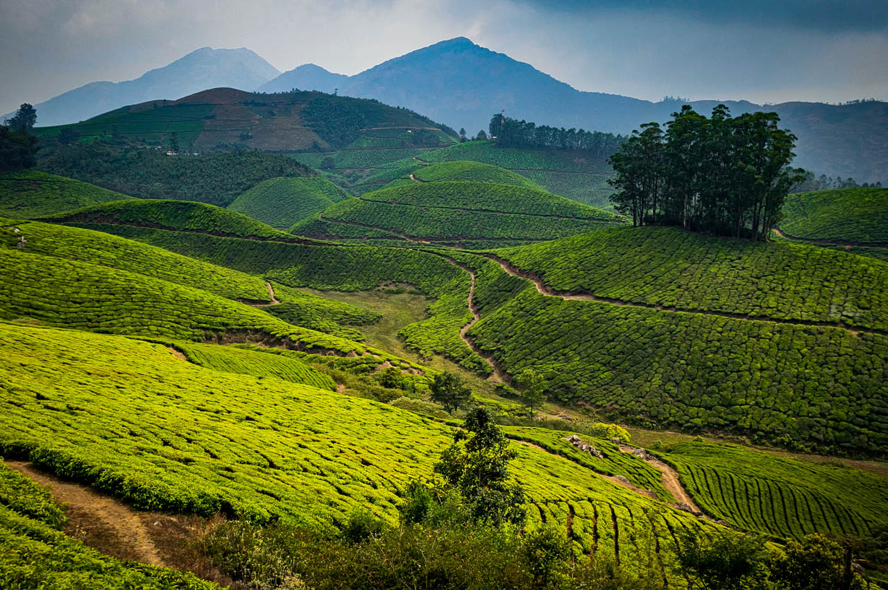 South India & Golden Triangle